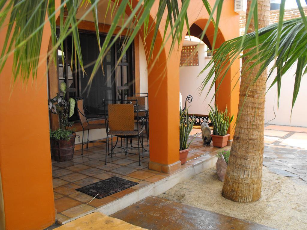 Leo'S Baja Oasis Ξενοδοχείο La Paz Δωμάτιο φωτογραφία