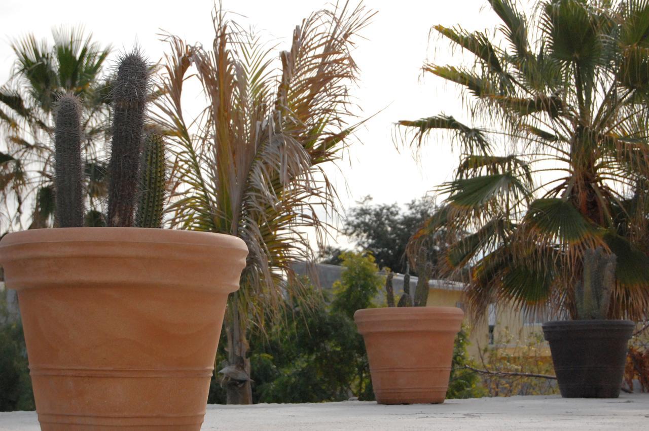 Leo'S Baja Oasis Ξενοδοχείο La Paz Εξωτερικό φωτογραφία