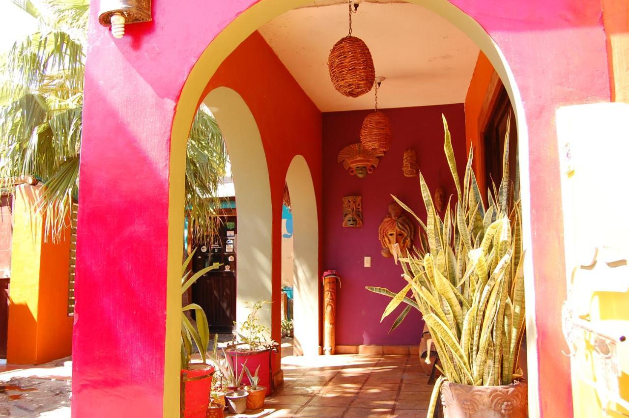 Leo'S Baja Oasis Ξενοδοχείο La Paz Εξωτερικό φωτογραφία